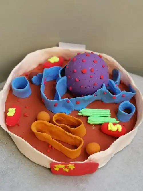 67走近细胞感受生命之美我校高一年级生物组组织第三届模型创新制作