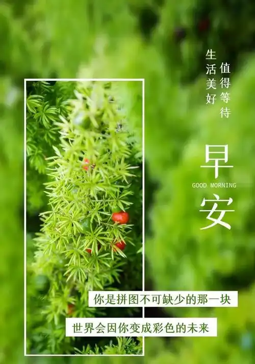 早安心向阳光正能量的句子(早安正能量励志配图及说说)