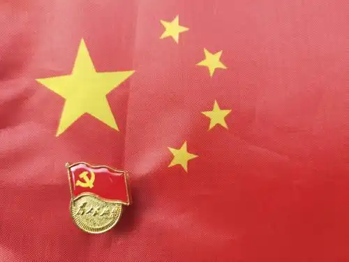 党徽闪耀,党旗飘扬!