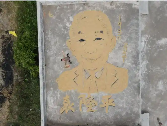 小伙用水稻"画"出袁隆平:这是我作为农民的缅怀方式