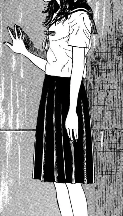 . - 堆糖,美图壁纸兴趣社区