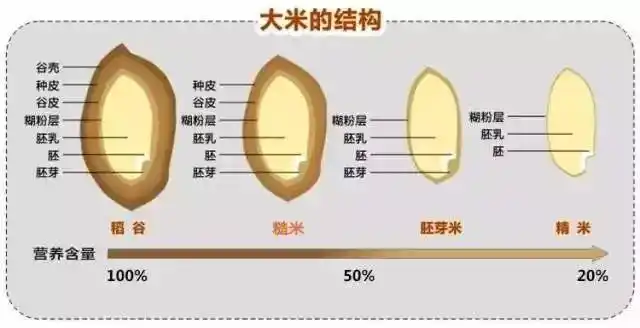 这个过程增加了白米的保质期,但却减少了它的部分营养,包括纤维