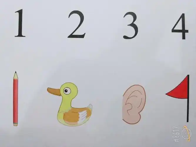 这些数字分别像什么呢?