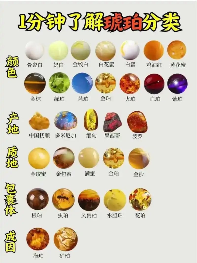 04一分钟了解琥珀分类#琥珀蜜蜡 #天然琥珀蜜蜡 #知识科普 - 抖音