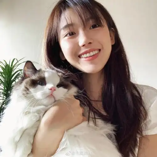 有没有半藏森林好看的照片? - 知乎