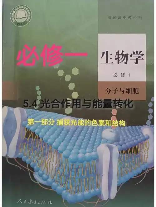 高中生物必修一新人教版课本笔记54