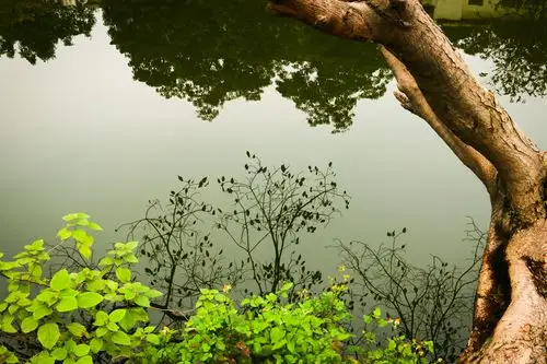 心如止水,才看得到真实的景象.