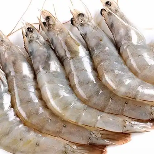 【进口大虾!4斤仅72.9元】顺丰速运 厄瓜多尔虾 (60-70)原装进口海鲜
