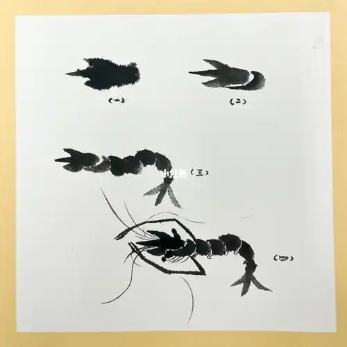 国画入门虾的画法08