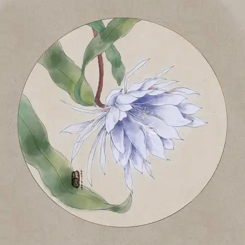 我喜欢吃的石榴,和润玉爱养的昙花