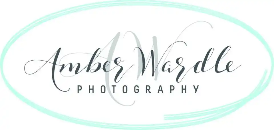 椭圆卡通店铺微店logo水印矢量素材