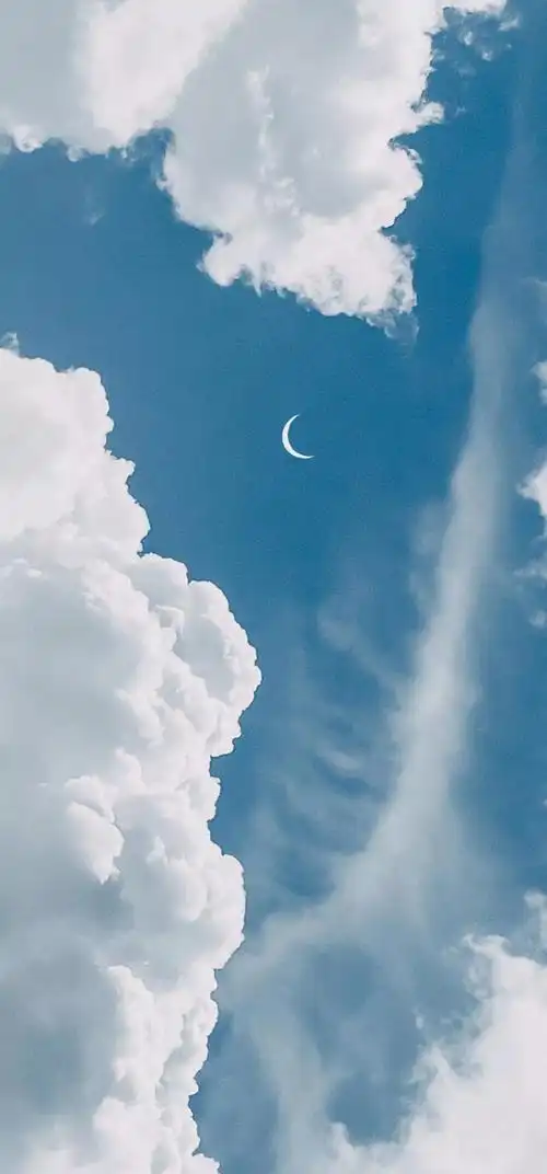 有什么一眼看去就觉得清新脱俗的图片/壁纸吗?