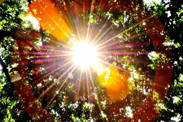 【图片2】透过光斑窥视太阳,五光十色,光彩夺目!--蜂鸟论坛照片套图