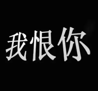 表达痛恨一个人的图片