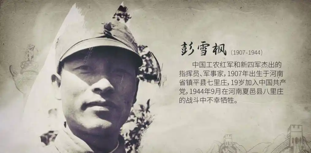 雪枫之子报考哈军工,没有被录取,张爱萍:政审不合格_林颖_彭小枫_母亲