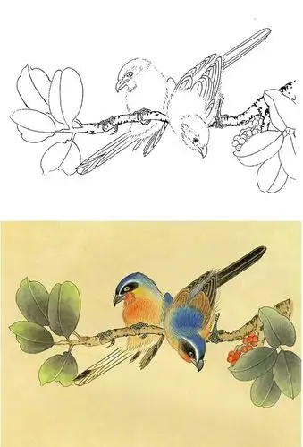 工笔花鸟白描底稿样片对照1