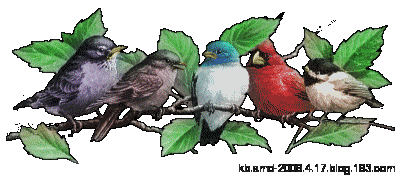 [动画] 漂亮闪图(啊英收集)