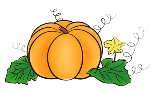 巧夺天工|简笔画南瓜 简单学会