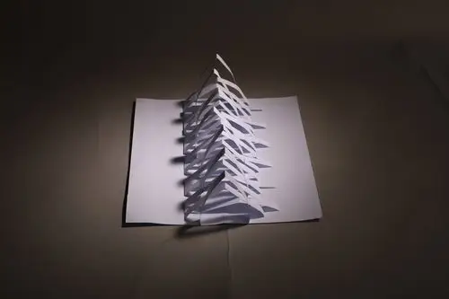 平面立体构成|摄影|产品摄影|珊瑚echo_ - 原创作品 - 站酷 (zcool)