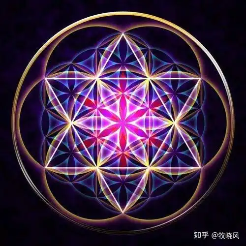 生命之花 - 知乎