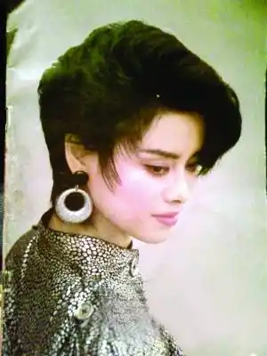 年轻时的毛阿敏