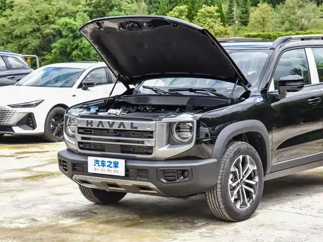 长城汽车 哈弗大狗 2024款 1.5t dct拉布拉多版