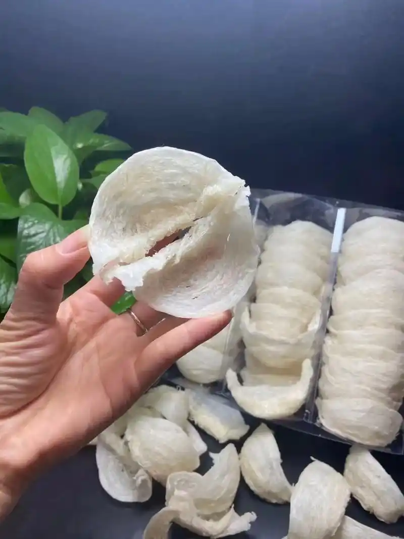 泰国燕窝  厂家直销