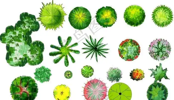 景观植物彩色平面图图例分层图片psd模版下载