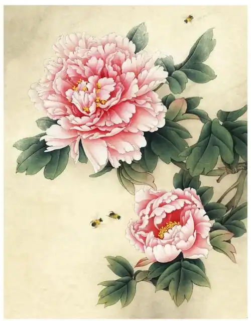 牡丹国画工笔 国画工笔牡丹步骤图