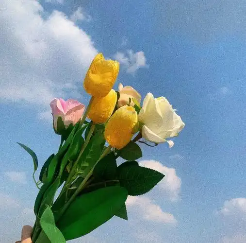 好看的微信朋友圈背景图无水印的大家一起分享一下