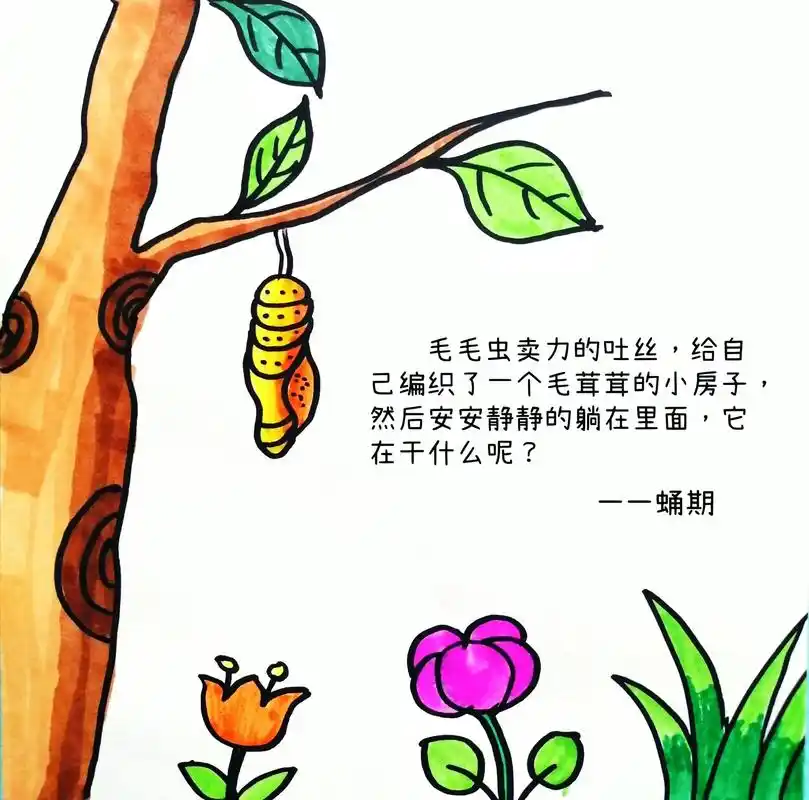 蝴蝶的一生创意儿童画,蝴蝶的成长过程.#图文种草机 #自制绘 - 抖音