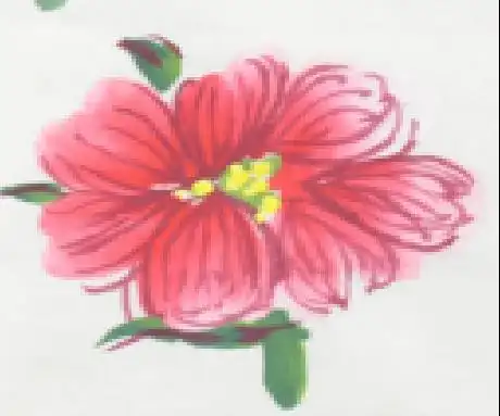 木芙蓉儿童画教学视频