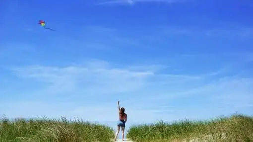 追风筝的人|唯美美文-芒果唯美图片(www.mangowed.com)