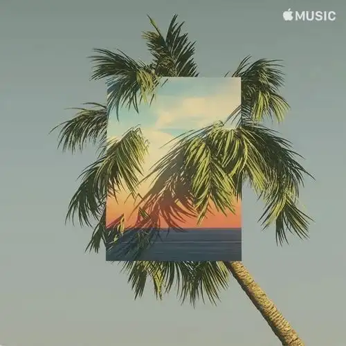 applemusic超赞的歌单封面设计