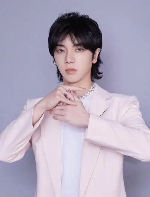 华晨宇的歌迷来自世界各地