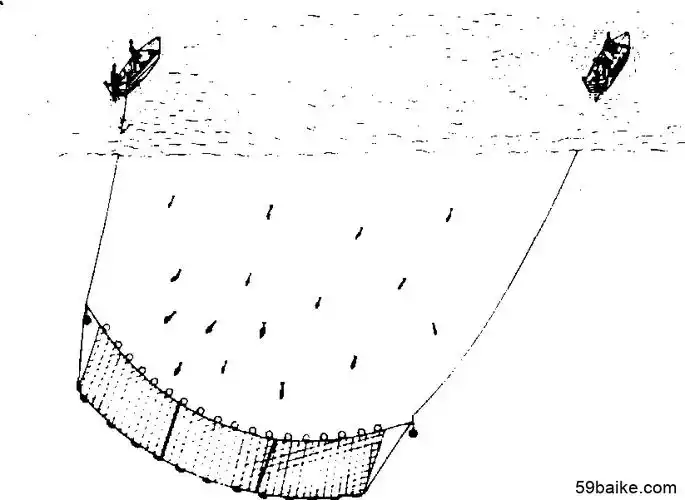 拖刺网捕鱼