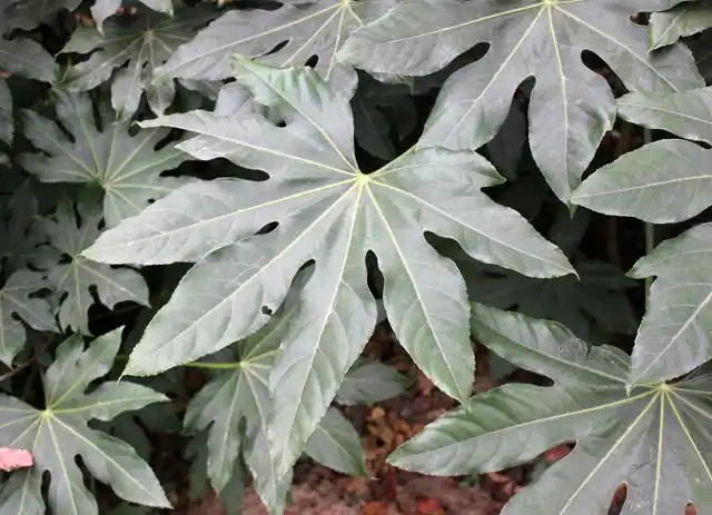 初冬时节的小清新