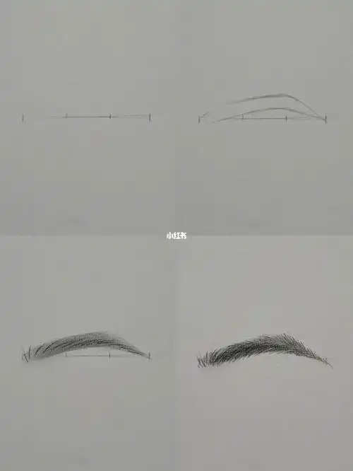 绘画  #眉毛  #素描五官  #眉毛画法  #画画  #铅笔画  #零基础学