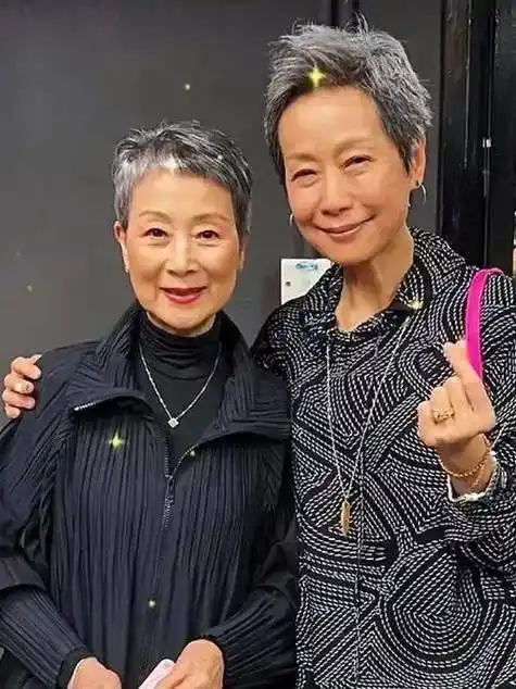 刘嘉玲跟叶童晚年大不同,一个疯狂扮嫩像假少女,一个像农家奶奶状态