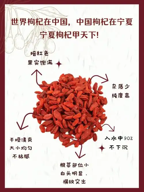 世界枸杞在中国,中国枸杞在宁夏!