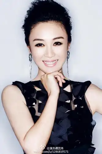 美人不迟暮傅艺伟的图集