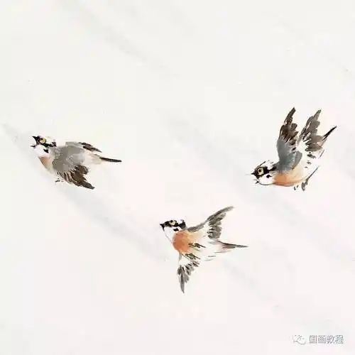 8-白头翁9-翠鸟10-翠鸟11-翠鸟12-翠鸟13-翠鸟14-翠鸟15-翠鸟16-燕子