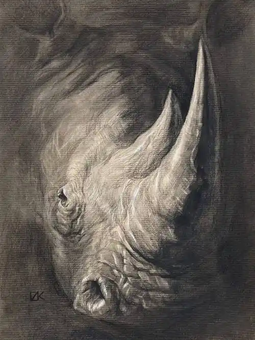 太奇葩了吧,天津美术学院初试考"犀牛"!_考试_素描_创意