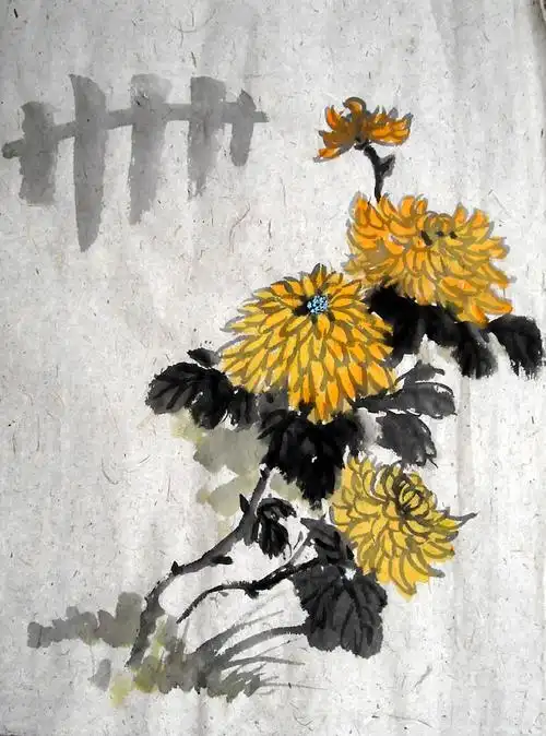 中国画水墨菊花图片展示