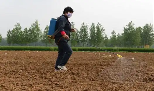 田间喷药忙