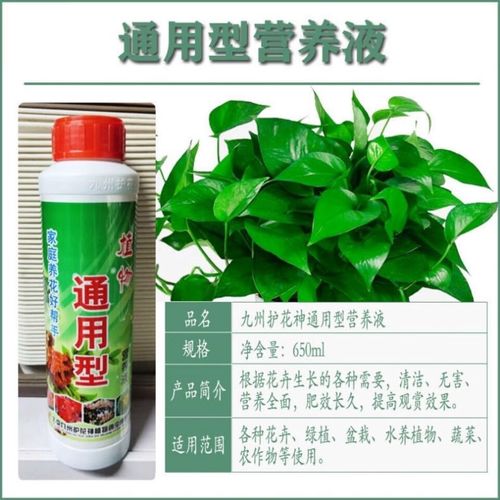 思雨九州护花神通用营养液植物盆栽花卉绿萝富贵竹再给财树液体养花肥