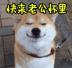 撩快来老公怀里soogifsoogif出品gif动图_动态图_表情包下载_soogif