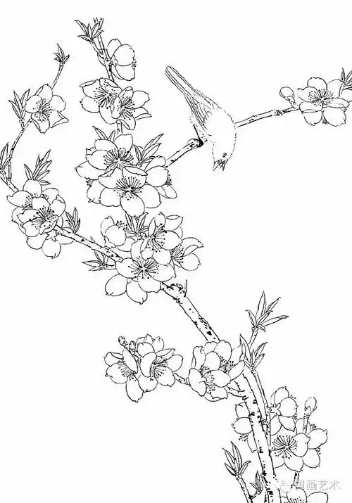 花鸟白描瑶台明月同采自mp.weixin.qq.com该采集也在以下画板加载更多