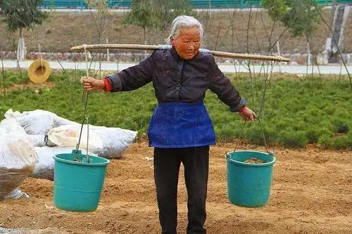 为什么农村老人还要继续干活,老农民的话凄凉泪下,扎心了!