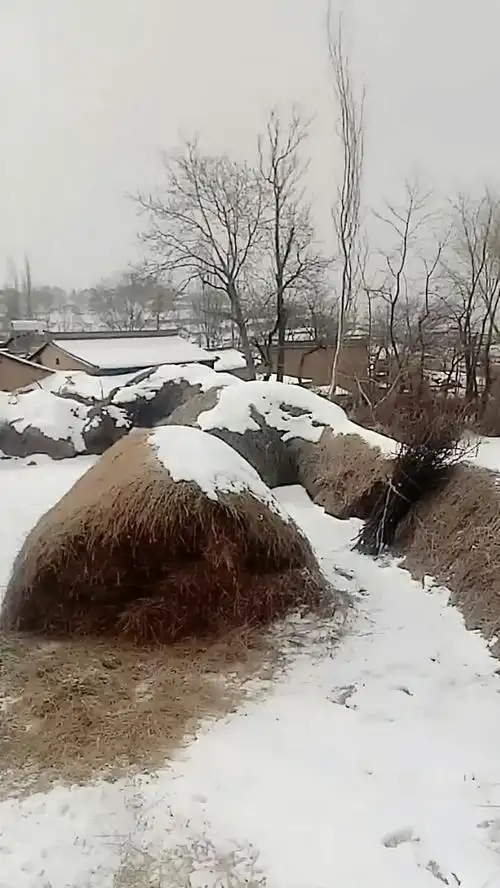 快看看,农村的雪天!